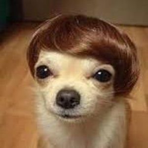 Meet your Posher, Adrianna